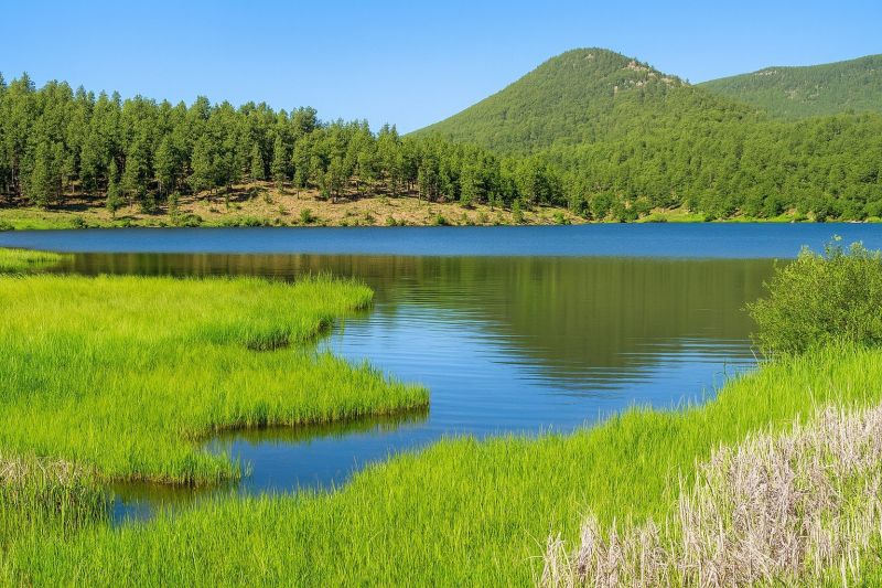 Best Shower Installation pros in Woodland Park, CO